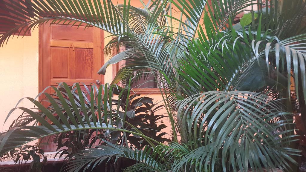 Hotel El Maltese Ґранада Екстер'єр фото